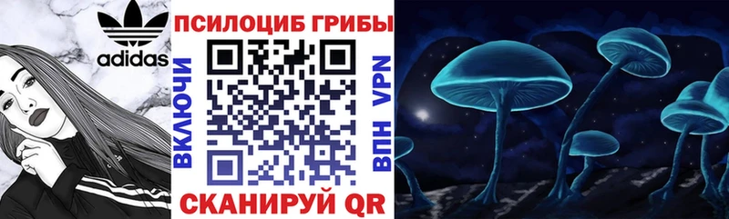 Галлюциногенные грибы Cubensis  мега ONION  Курлово 